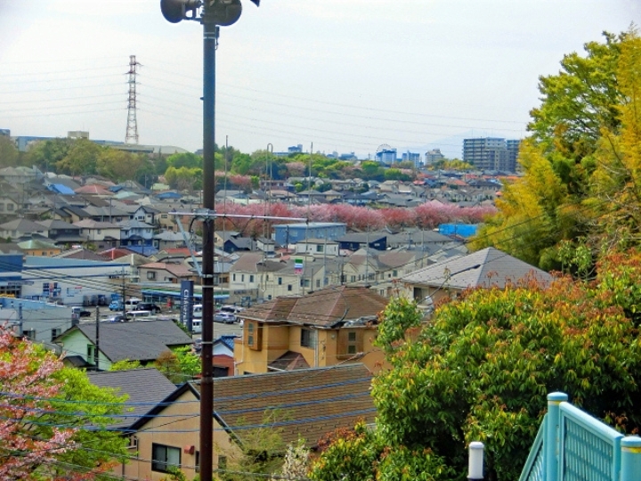 川崎市宮前区の住宅街と駅周辺の街並みの全景イメージ